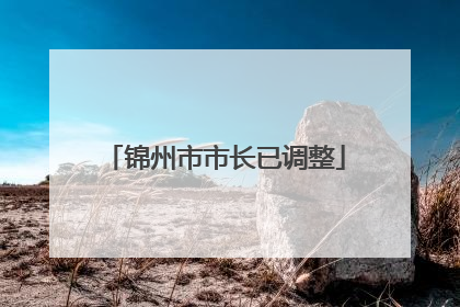 锦州市市长已调整